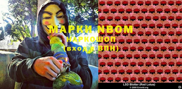 мдпв Абаза