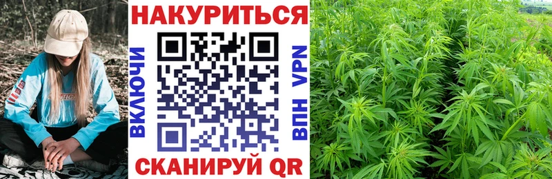 Конопля Ganja  Лабытнанги 